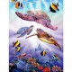 STEVE SUNDRAM GREETING CARD Turtle Dive